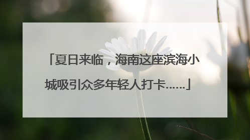 夏日来临，海南这座滨海小城吸引众多年轻人打卡……