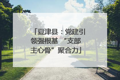夏津县：党建引领强根基 “支部主心骨”聚合力
