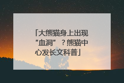 大熊猫身上出现“血洞”？熊猫中心发长文科普