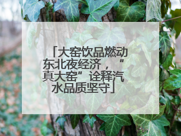 大窑饮品燃动东北夜经济，“真大窑”诠释汽水品质坚守