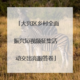 大兴区乡村全面振兴短视频征集活动交出亮眼答卷