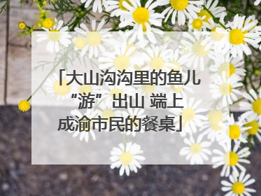 大山沟沟里的鱼儿 “游”出山 端上成渝市民的餐桌