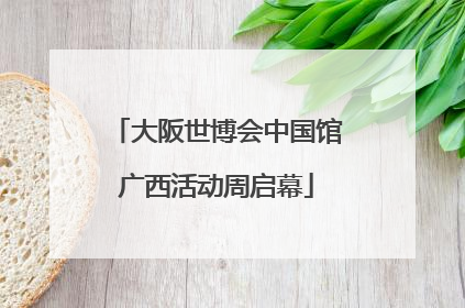 大阪世博会中国馆广西活动周启幕