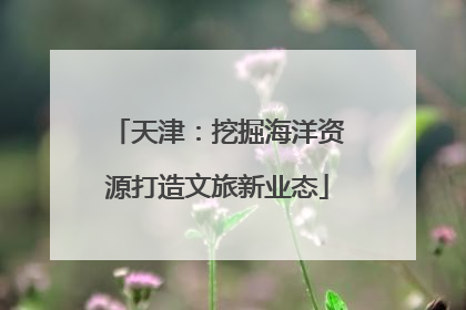 天津：挖掘海洋资源打造文旅新业态