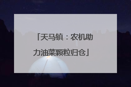 天马镇：农机助力油菜颗粒归仓
