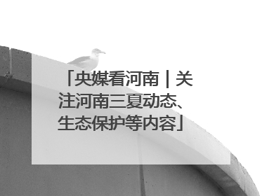 央媒看河南｜关注河南三夏动态、生态保护等内容