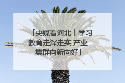 央媒看河北丨学习教育走深走实 产业集群向新向好