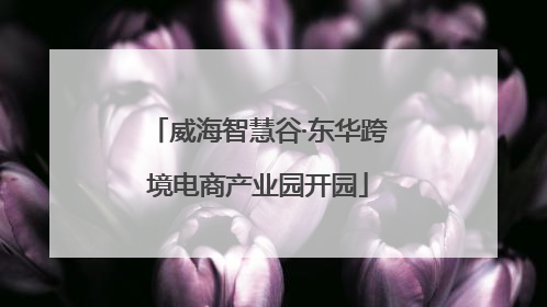 威海智慧谷·东华跨境电商产业园开园