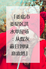 娄底市娄星区洪水单屋场：从煤灰蔽日到绿意盎然