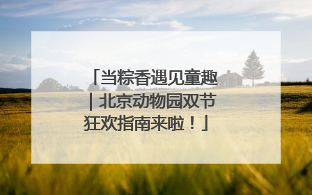 当粽香遇见童趣｜北京动物园双节狂欢指南来啦！