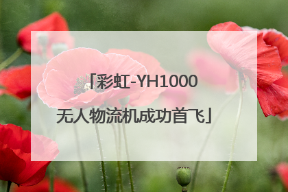 彩虹-YH1000无人物流机成功首飞