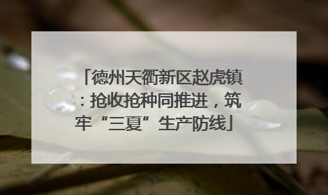 德州天衢新区赵虎镇：抢收抢种同推进，筑牢“三夏”生产防线