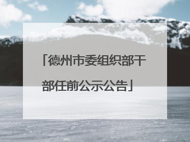 德州市委组织部干部任前公示公告