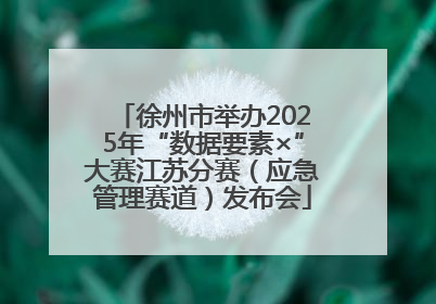 徐州市举办2025年“数据要素×”大赛江苏分赛（应急管理赛道）发布会