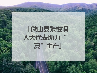 微山县张楼镇人大代表助力“三夏”生产