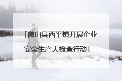 微山县西平镇开展企业安全生产大检查行动