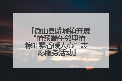 微山县驩城镇开展“情系端午邻里情 粽叶飘香暖人心”志愿服务活动
