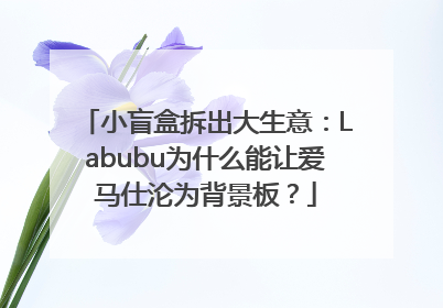 小盲盒拆出大生意：Labubu为什么能让爱马仕沦为背景板？