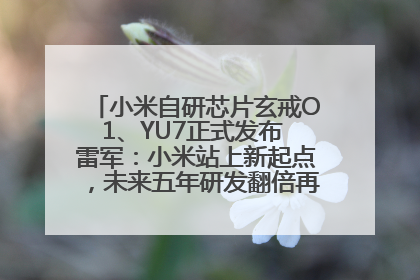 小米自研芯片玄戒O1、YU7正式发布 雷军：小米站上新起点，未来五年研发翻倍再投2000亿元