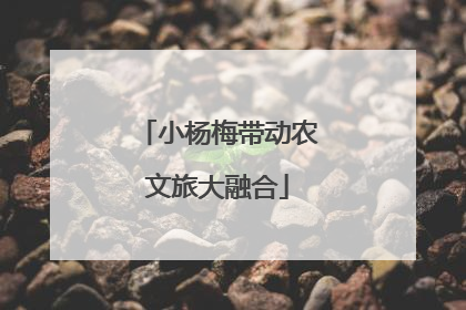 小杨梅带动农文旅大融合