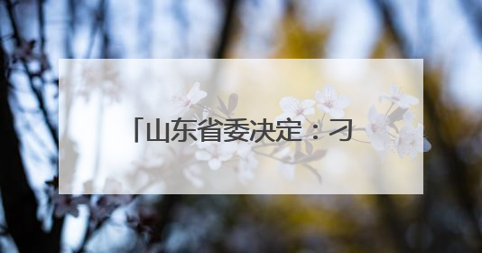 山东省委决定：刁洪斌、荣刚履新