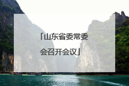 山东省委常委会召开会议