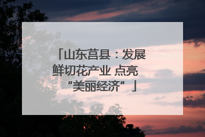 山东莒县：发展鲜切花产业 点亮“美丽经济”