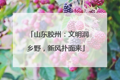 山东胶州：文明润乡野，新风扑面来