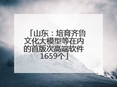 山东：培育齐鲁文化大模型等在内的首版次高端软件1659个