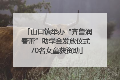 山口镇举办“齐鲁润春蕾”助学金发放仪式 70名女童获资助