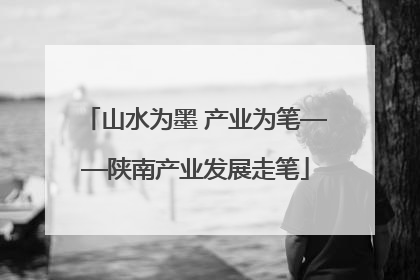 山水为墨 产业为笔——陕南产业发展走笔