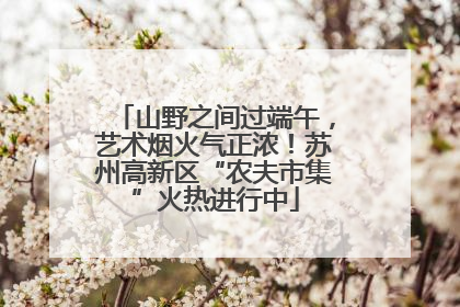 山野之间过端午，艺术烟火气正浓！苏州高新区“农夫市集”火热进行中