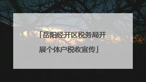 岳阳经开区税务局开展个体户税收宣传