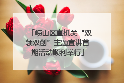 崂山区直机关“双领双创”主题宣讲首期活动顺利举行