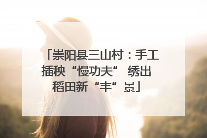 崇阳县三山村：手工插秧“慢功夫” 绣出稻田新“丰”景