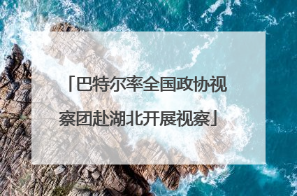 巴特尔率全国政协视察团赴湖北开展视察