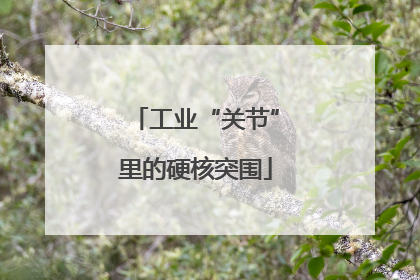 工业“关节”里的硬核突围