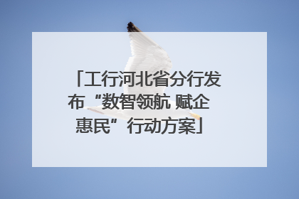 工行河北省分行发布“数智领航 赋企惠民”行动方案