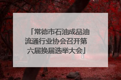 常德市石油成品油流通行业协会召开第六届换届选举大会