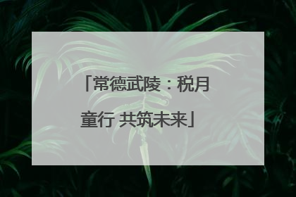 常德武陵：税月童行 共筑未来