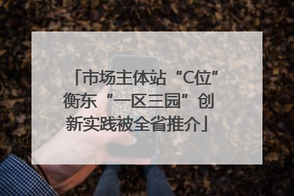 市场主体站“C位” 衡东“一区三园”创新实践被全省推介