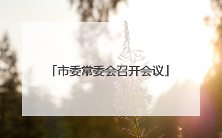 市委常委会召开会议