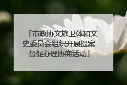 市政协文旅卫体和文史委员会组织开展提案督促办理协商活动