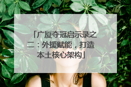 广厦夺冠启示录之二：外援赋能，打造本土核心架构