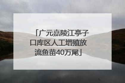 广元嘉陵江亭子口库区人工增殖放流鱼苗40万尾