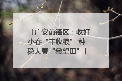 广安前锋区：收好小春“丰收粮” 种稳大春“希望田”