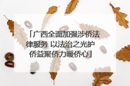 广西全面加强涉侨法律服务 以法治之光护侨益聚侨力暖侨心