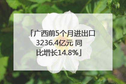广西前5个月进出口3236.4亿元 同比增长14.8%