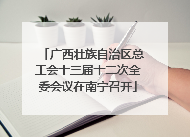 广西壮族自治区总工会十三届十二次全委会议在南宁召开