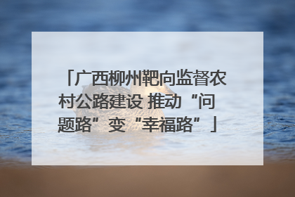 广西柳州靶向监督农村公路建设 推动“问题路”变“幸福路”